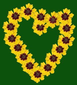 Flower heart from Pixabay