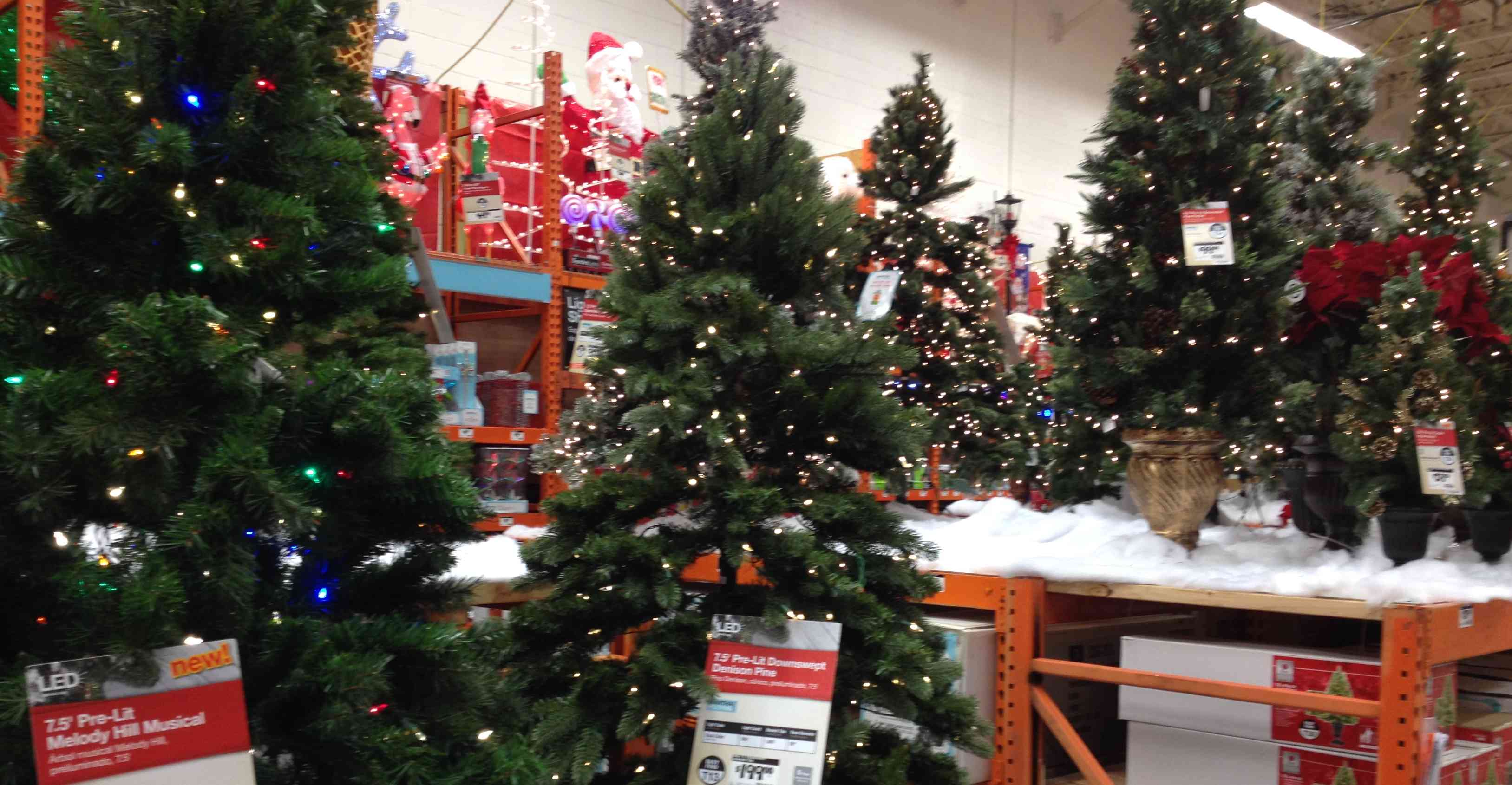 To Tree or not to Tree: What Will We Do for the Holidays? - Building ...