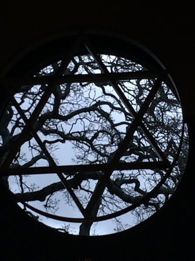 B'nai Tikvah's window